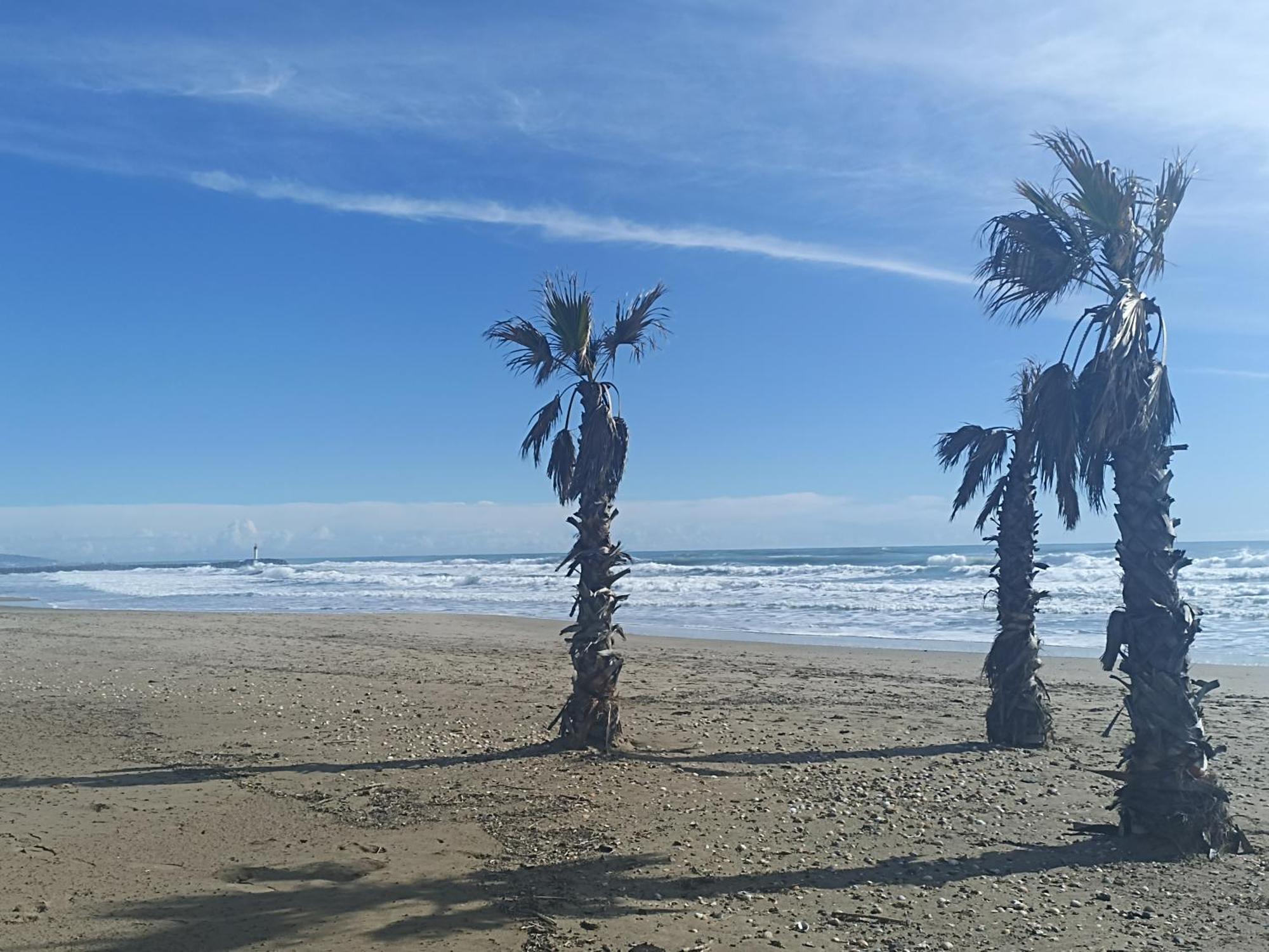 Cap D'Agde Port Lano T2 Clim, Piscine, Tennis Et Parking ภายนอก รูปภาพ